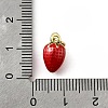 Brass with Enamel Charms KK-Q066-01E-G-3