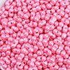 Baking Paint Glass Seed Beads X1-SEED-K010-A13-2