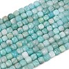 Natural Amazonite Beads Strands G-D0003-B11-01-2