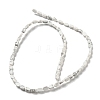 Natural Howlite Beads Strands G-M420-H14-03-3