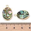 Natural Paua Shell Pendants SHEL-P017-17G-3