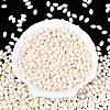500Pcs Baking Paint Glass Seed Beads SEED-PA0001-05B-3