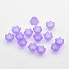 Transparent Acrylic Beads FACR-R017-01-2