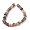 Natural Agate Beads Strands G-H295-C03-18-2