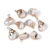 Electroplated Natural Shell Pendants BSHE-T015-12-1