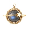 Natural Labradorite Copper Wire Wrapped Pendants PALLOY-TA00426-04-1