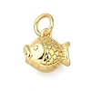 Brass Charms LS-ZIRC-I070-086G-1