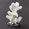 Resin Imitation Coral Ornaments DJEW-G026-05A-3