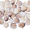 30Pcs Natural Shell Pendants PALLOY-PH01839-1