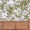MIYUKI Delica Beads SEED-MY11-DB2124-4