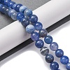 Natural Agate Beads Strands G-F783-I01-01-2