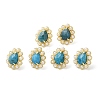 Natural Apatite Teardrop Stud Earrings with Plastic Pearl Beaded EJEW-E599-05G-02-2