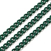 Spray Painted 304 Stainless Steel Curb Chains STAS-B067-05A-07-1