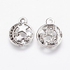 Alloy Pendants X-PALLOY-G192-14AS-2