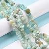 Natural Flower Amazonite Chips Beads Strands X-G-M205-12B-4