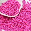 Baking Paint Glass Seed Beads SEED-H002-I-A529-1