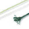 30M Segment Dyed Macrame Cotton Cord OCOR-T018-01T-3
