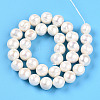 Natural Cultured Freshwater Pearl Beads Strands PEAR-N016-11A-3