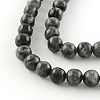 Natural Labradorite Round Bead Strands G-R342-10mm-09-2