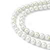 Eco-Friendly Dyed Glass Pearl Round Beads Strands X-HY-A002-10mm-RB009-2