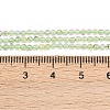 Natural Prehnite Beads Strands G-C255-B03-2mm-5