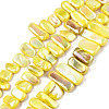 Natural Freshwater Shell Beads Strands X-SHEL-N026-123A-1