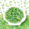 Glass Beads SEED-N007-32F-2