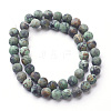 Natural African Turquoise(Jasper) Bead Strands G-P214-03-8mm-2