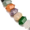 Natural Mixed Stone Double Terminated Point Beads Strands G-T142-97-4