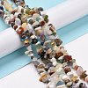 Natural Gemstone Beads Strands G-F328-26-7