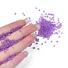 8/0 Glass Seed Beads SEED-A016-3mm-213-01-5