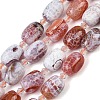 Natural Fire Crackle Agate Beads Strands G-K393-G02-12x16-2