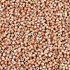 Picasso Glass Seed Beads GL-N001-01A-09-3