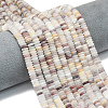 1 Strand Frosted Natural Quartz Beads Strands G-PA0001-61-3