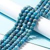 Natural Apatite Beads Strands G-K193-7mm-12-4