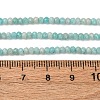 Faceted Rondelle Natural Amazonite Bead Strands G-F289-06A-3