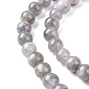 Natural Labradorite Beads Strands G-G448-8mm-04A-2