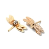 Brass Pendants FIND-WH0050-15-3