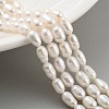 Natural Cultured Freshwater Pearl Beads Strands PEAR-P062-05C-2