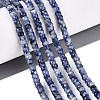 Natural Blue Spot Jasper Beads Strands G-Q606-46A-02-1