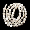 Electroplated Shell Pearl Beads Strands BSHE-B008-06B-2
