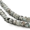 Natural Sesame Jasper Beads Strands G-H078-C24-01-4
