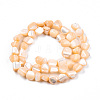 Natural Trochid Shell/Trochus Shell Beads Strands SSHEL-N032-49-A07-2