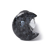 Moon Natural Larvikite Wine Stoppers DJEW-P021-D02-2