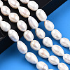 Natural Cultured Freshwater Pearl Beads Strands PEAR-N012-10B-2