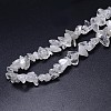 Natural Quartz Crystal Beads Strands X-G-O049-C-61-3