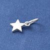 S925 Sterling Silver Pendant STER-H115-03C-S-2