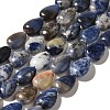 Natural Sodalite Beads Strands G-I377-A09-2