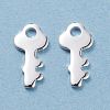 304 Stainless Steel Charms STAS-H436-39S-2