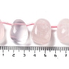 Natural Rose Quartz Beads Strands G-P528-E05-01-4